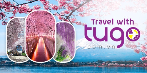 các startup thành công